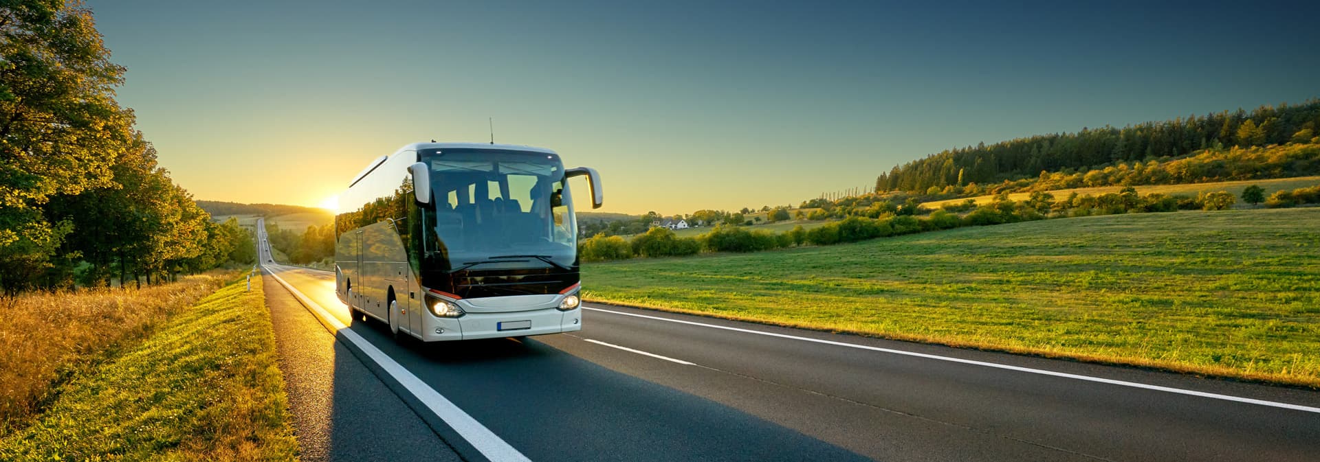 Would you like to book a bus for excursions?